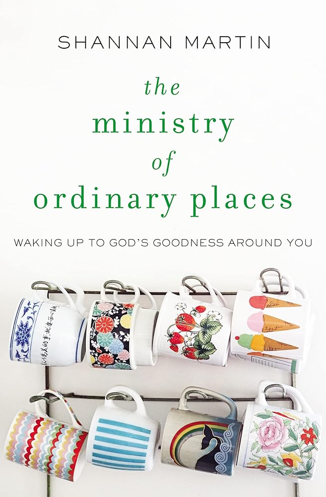 The Ministry of Ordinary Places: Waking Up to God's Goodness Around You cover image