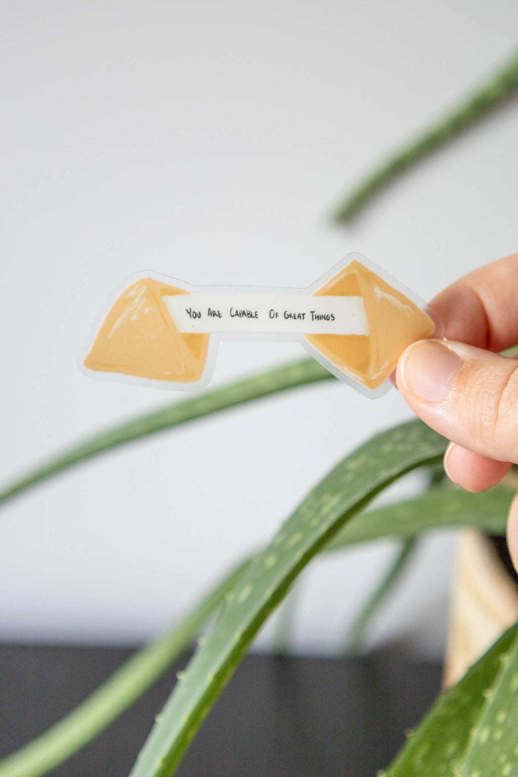 Fortune Cookie Clear Sticker